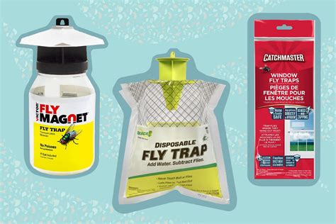 best fly trap for garage|best fly killer 2022.